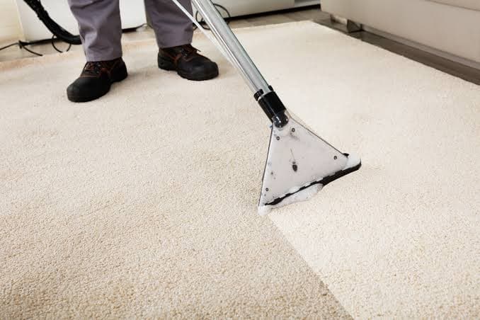 Close-up of a carpet cleaning tool extracting dirt and moisture from carpet fibres