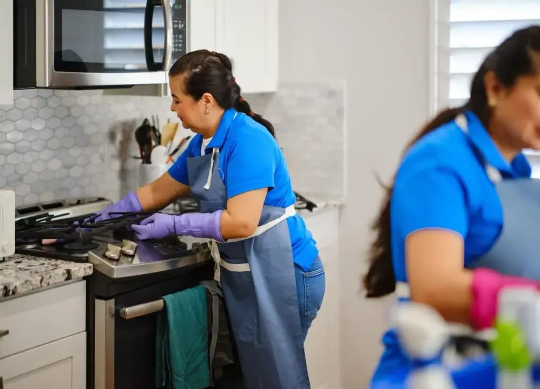 Need to Clean maid cleaning a hob during a regular house cleaning visit in Dublin