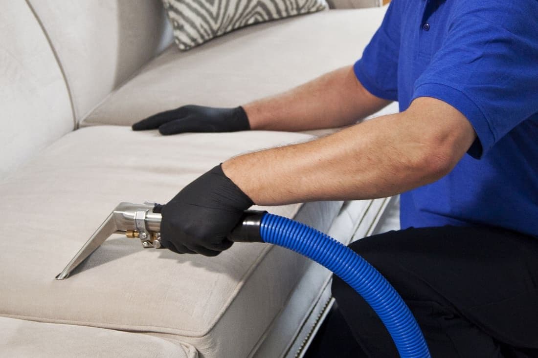 Close-up of upholstery cleaning equipment deep cleaning a fabric sofa