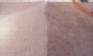carpet-cleaning-dublin-client