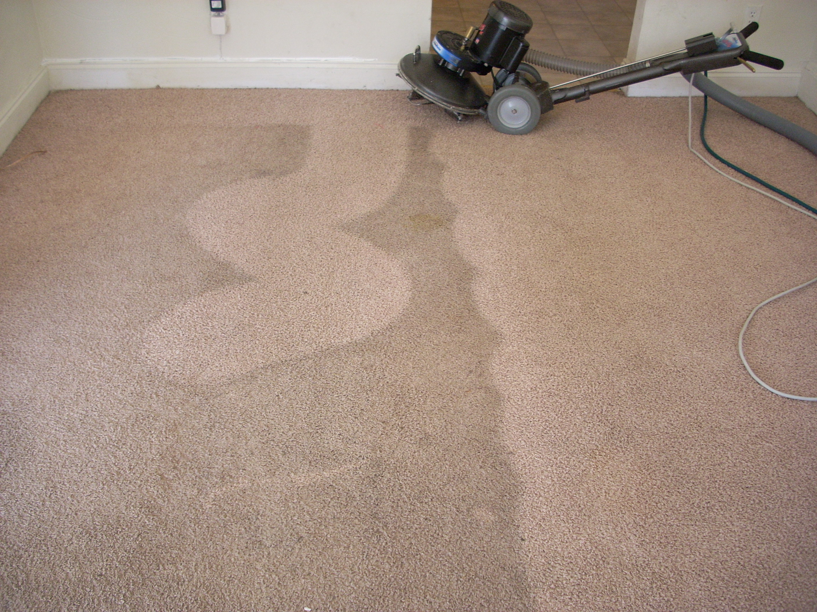 Carpet Washing – Need to Clean