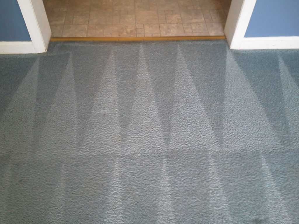 Carpet Washing Need to Clean
